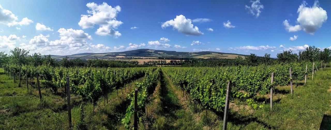 Penzion v rodinném vinařství Kadubcovi Lipov Exterior foto